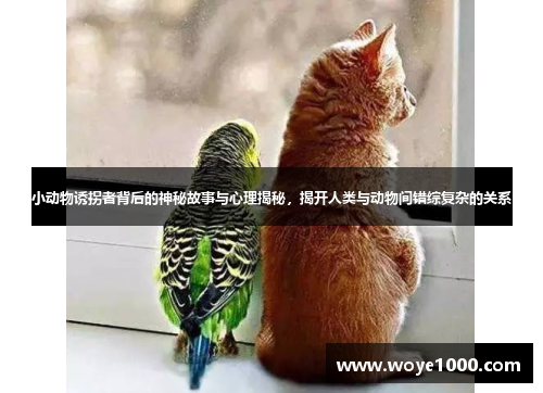 小动物诱拐者背后的神秘故事与心理揭秘，揭开人类与动物间错综复杂的关系