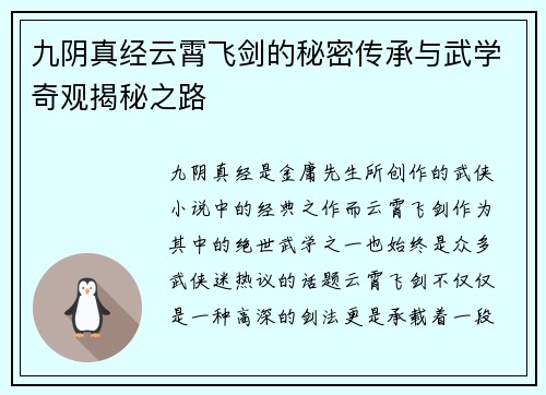 九阴真经云霄飞剑的秘密传承与武学奇观揭秘之路